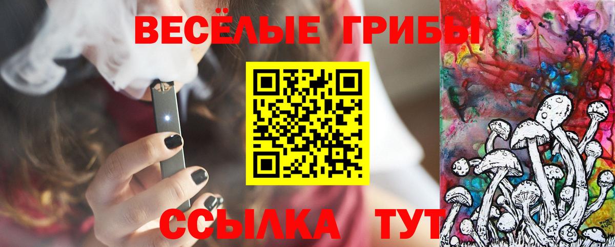 Псилоцибиновые грибы Psilocybine cubensis Балашов